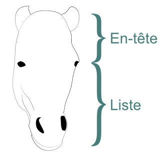 Description de la tête du cheval de face.
